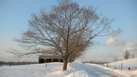 February 2011 - winter in Groton 024